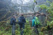 Trekking Yungas Salta