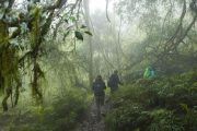 Trekking Yungas Salta