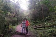 Trekking Yungas Salta