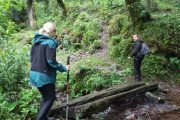 Trekking Yungas Salta