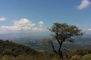 Trekking Yungas Salta