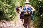Trekking Yungas Salta