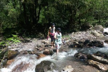 Trekking en las Yungas