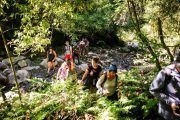 Trekking en las Yungas