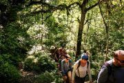 Trekking en las Yungas