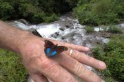 Trekking Yungas Salta