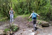 Trekking Yungas Salta