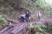 Trekking Yungas Salta