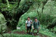 Trekking Yungas Salta