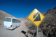 Ruta 40