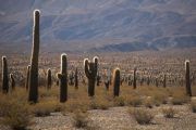 Excursión a Cachi