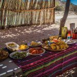 logistica-picnic-ruta40