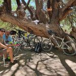 quienes-somos-mtb-staff3
